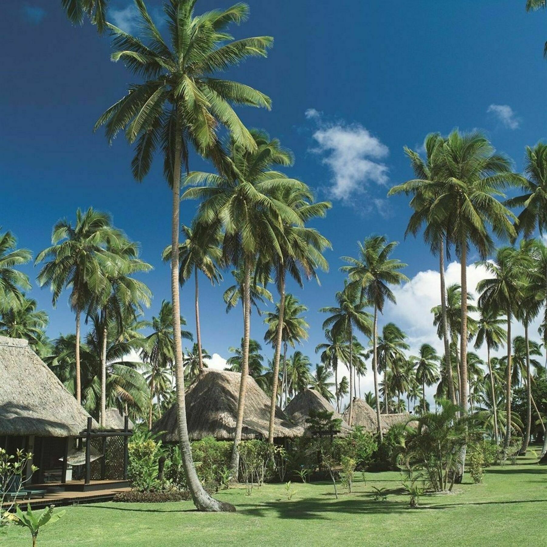 Jean-Michel Cousteau Resort Fiji Savusavu Exteriér fotografie