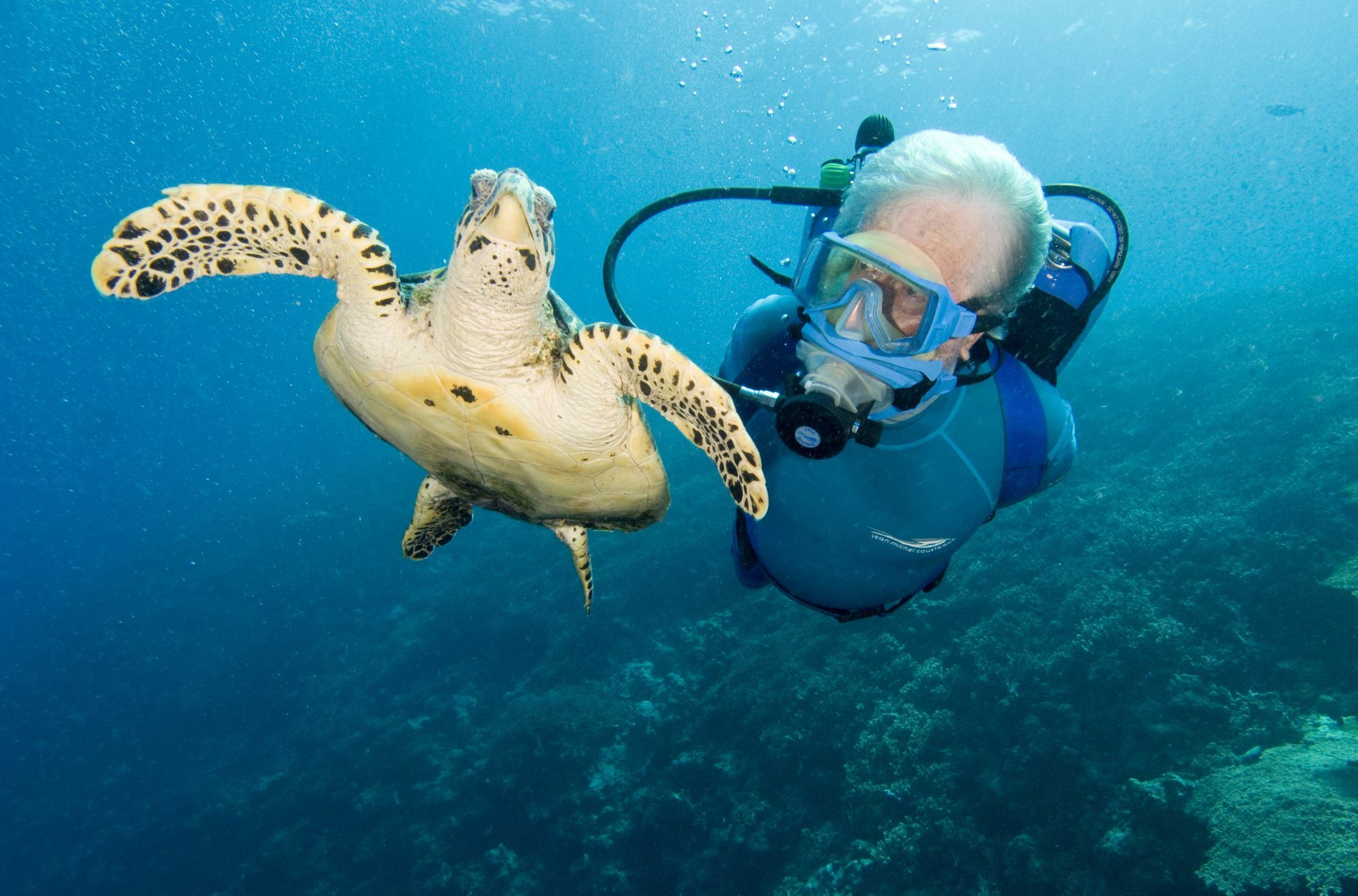 Jean-Michel Cousteau Resort Fiji Savusavu Exteriér fotografie